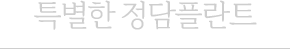 특별한 정담플란트치과