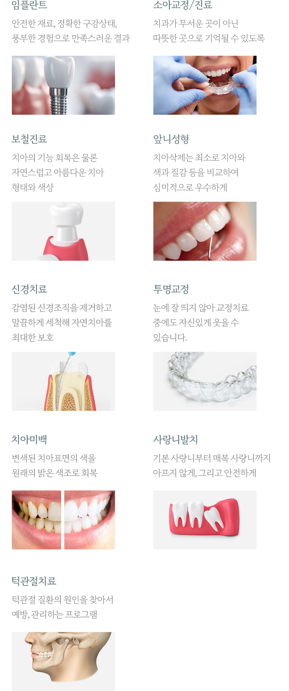 진료과목
