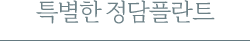 특별한 정담플란트치과