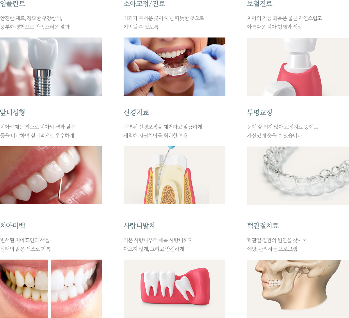 진료과목